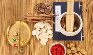 益气聪明汤（益气聪明汤方歌）