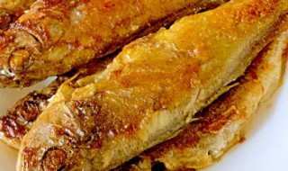 小黄鱼的禁忌（小黄鱼的禁忌人群）