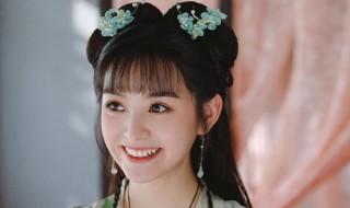 我的宠物少将军剧情介绍（我的宠物少将军剧情介绍分集）