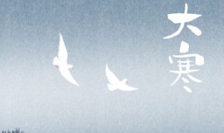 大寒适合吃什么可以养生 大寒应该吃什么养生