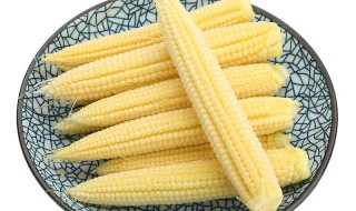 玉米笋禁忌（玉米笋能不能吃）