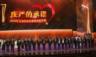 为了庄严的承诺剧情介绍（为了庄严的承诺第一集）