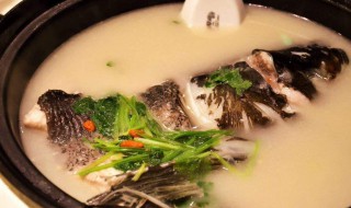 香菜鱼头汤怎么做 香菜鱼头汤怎么做才好吃