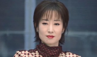 正青春刘敏涛饰演