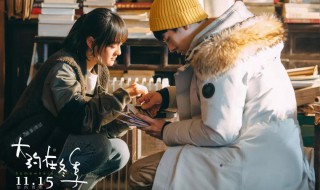 大约在冬季剧情介绍（大约在冬季大结局）