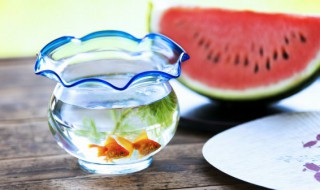 养海鱼的正确方法（怎么养海鱼）