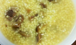 栗子小米粥功效和作用 栗子小米粥功效和作用是什么