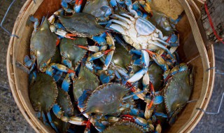 醉生蟹做法 醉花蟹做法步骤