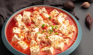 川菜十大名菜英语 川菜十大名菜