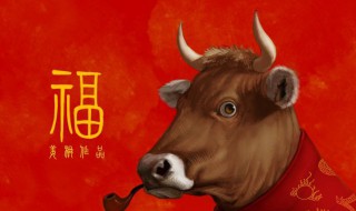 2021年运势最旺的生肖（2021年运势最旺的生肖女）