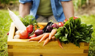 青菜的功效与作用（青菜的功效与作用图片）