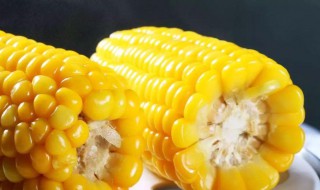 水果玉米水煮要多久 水果玉米冷水下锅煮多久