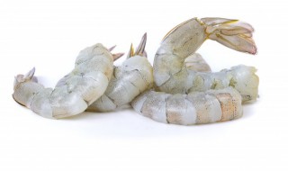 白虾是发物吗 白米虾是发物吗