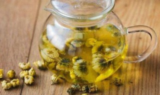 怀菊花茶的功效与作用（什么是怀菊花茶）