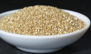 糙米茶的功效与作用及禁忌 糙米茶的功效与作用及禁忌症