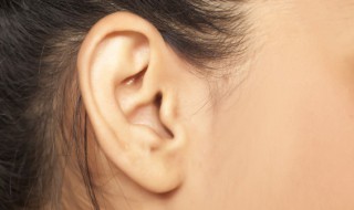 怎么形容耳朵（好听的歌怎么形容耳朵）