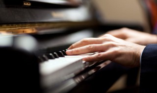 紫的歌词 紫的歌曲简介