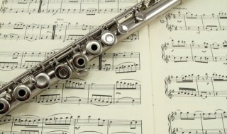 小弹壳歌词（小弹壳歌词完整版）