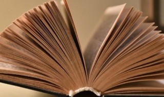 濑怎么读拼音（濑怎么读拼音是什么字）