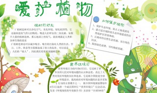 关于植物的手抄报 科学手抄报关于植物的手抄报