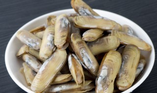 蛏子的做法大全 蛏子的做法大全家常