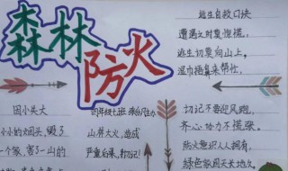 关于森林防火的手抄报 关于森林防火的手抄报 一等奖