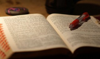 粗犷的拼音怎么写 睫毛的拼音怎么写