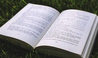 菊花的拼音怎么写（菊花的拼音怎么写的拼音怎么读）