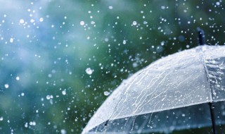 雨的拼音怎么写（雨点的拼音怎么写）