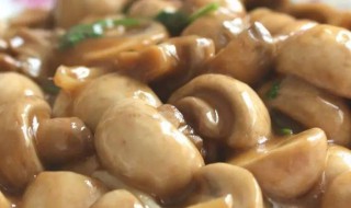 白口蘑的做法大全家常 口蘑白蘑菇的做法