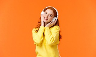 王老先生有块地歌词 王老先生有块地歌词是什么意思