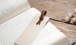 导向是什么意思（问题导向是什么意思）