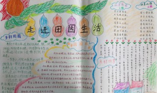 关于田园风景的手抄报（关于田园风景的手抄报图片）