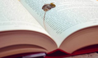 模样的拼音怎么读 模样的拼音怎么读啊