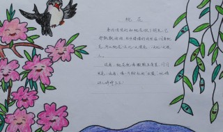 关于桃花的手抄报 关于桃花的手抄报简单又好看