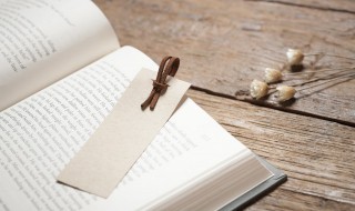 abby怎么读 Krabby怎么读