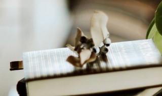 核的多音字组词（核的多音字组词3个）