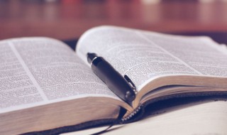 笨拙拼音怎么读（浑浊笨拙拼音怎么读）