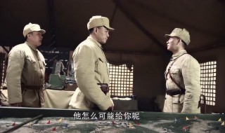 老虎队剧情介绍（老虎队剧情介绍电视猫）