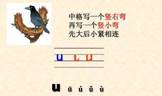 u拼音怎么写 峰拼音怎么写