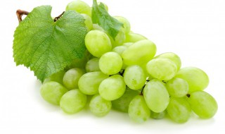 葡萄的拼音怎么写（水果葡萄的拼音怎么写）