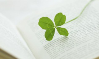 篱怎么读（篱怎么读什么意思）