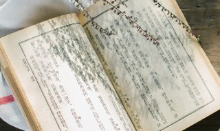 擐怎么读（猊怎么读）