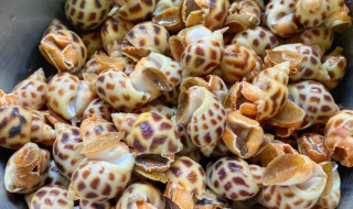 椒盐花螺的做法视频 椒盐花螺的做法