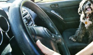 征信黑了怎么分期买车（征信黑了怎么分期买车?可以用配偶的买吗）