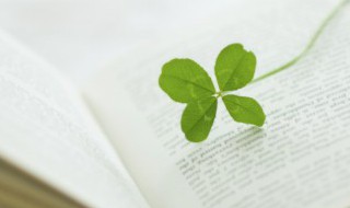 棹怎么读音 棹怎么读音什么意思