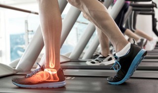 腓骨怎么读 腓骨的读音