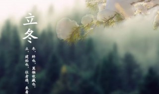 多少号立冬（今年多少号立冬）