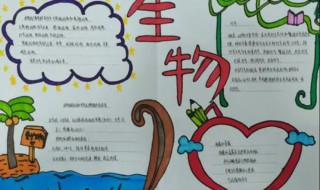 关于生物的手抄报（关于生物的手抄报初二上册）