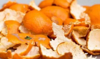 如何用橘子皮发酵养花 如何用橘子皮发酵养花视频